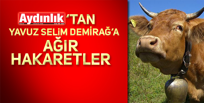 ÖKÜZE CİLVE YAP DEMİŞLER YATMIŞ YUVARLANMIŞ