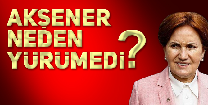 BAŞINDAN BERİ YÜRÜYÜŞE KATILMADI