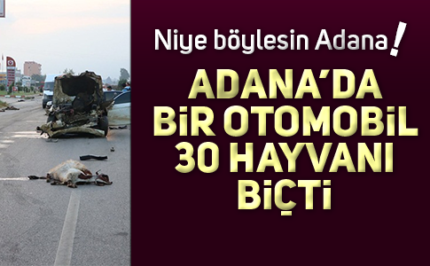 01’DE ENDİŞELİ SAATLER