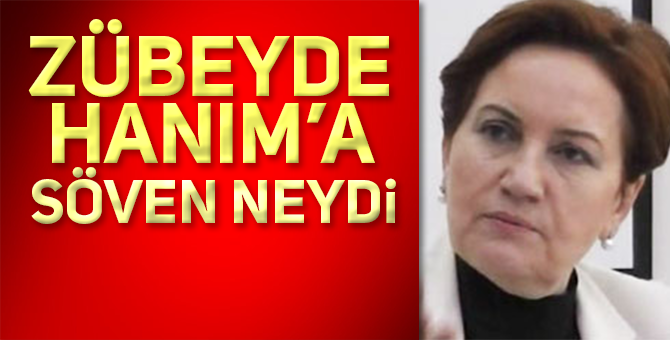 ATATÜRK HEYKELİNE SALDIRAN MECZUP MU?