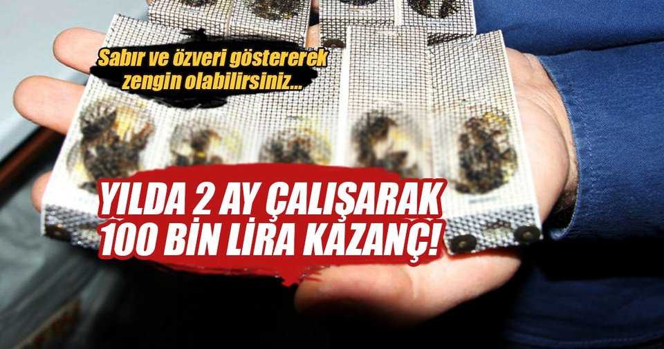 2 ay çalışarak yılda 100 bin lira kazanmak mümkün