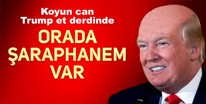 Charlottesville’deki ırkçı gösterilerin ardından Trump: Orada şaraphanem var