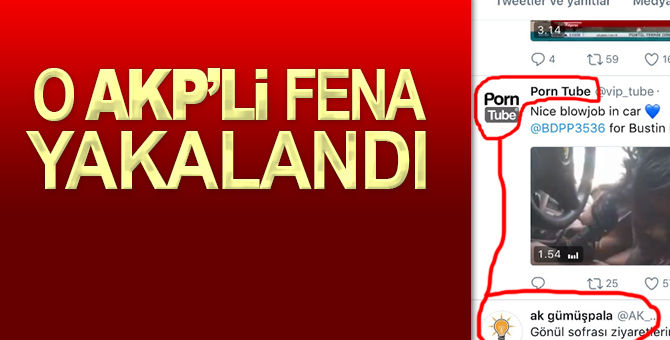 AKP’li yönetici Twitter’da porno like’ladı