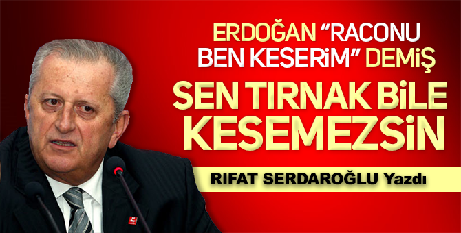Bize Erdoğan’ın anlayacağı dilden seslenmek düşer