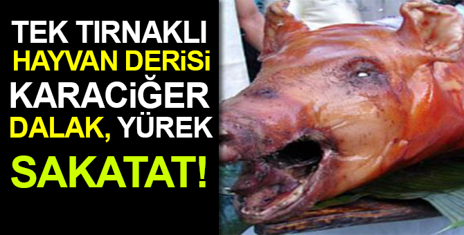 AKP askere domuz, öğrenciye at eti yedirmiş!