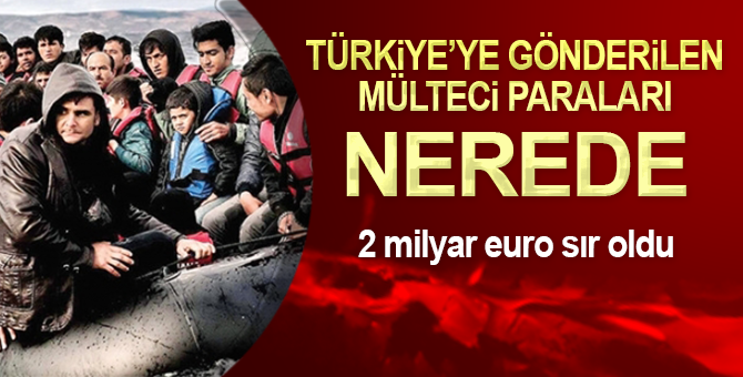 Türkiye’ye gönderilen ‘mülteci paraları’ nerede