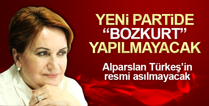 Yeni partide ‘bozkurt’ işareti yapılmayacak