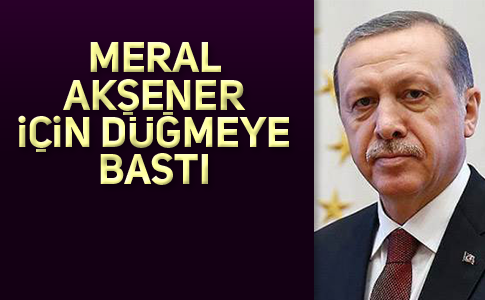 ERDOĞAN’IN MUHTEMEL HAMLELERİ