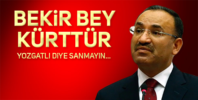 HÜKÜMETTE TÜRK VAR MI?