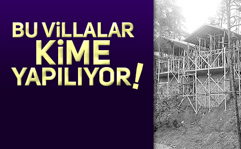 ORMANLARIN YAKILMASINDA KATAR İDDİASI!