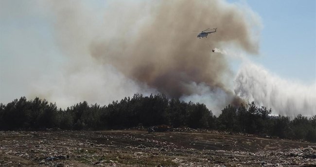 Afyonkarahisar’da orman yangını