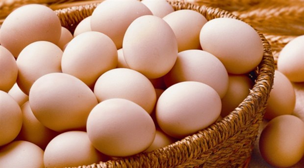 Almanya’da ‘zehirli yumurta’ alarmı