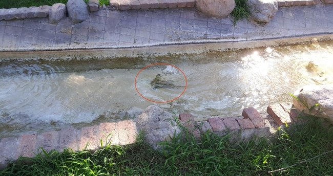 Antalya’da kan donduran olay