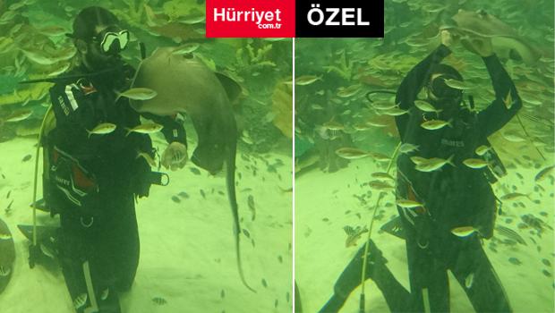 AVM’de akılalmaz olay: Akvaryumdaki vatoz soktu, hayatı karardı