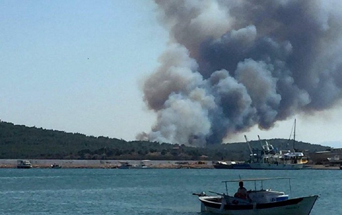 Ayvalık’ta orman yangını