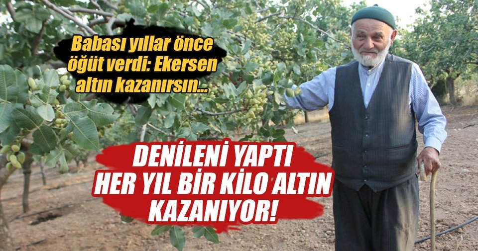 Babasının sözünü dinledi, her yıl bir kilo altın kazanıyor