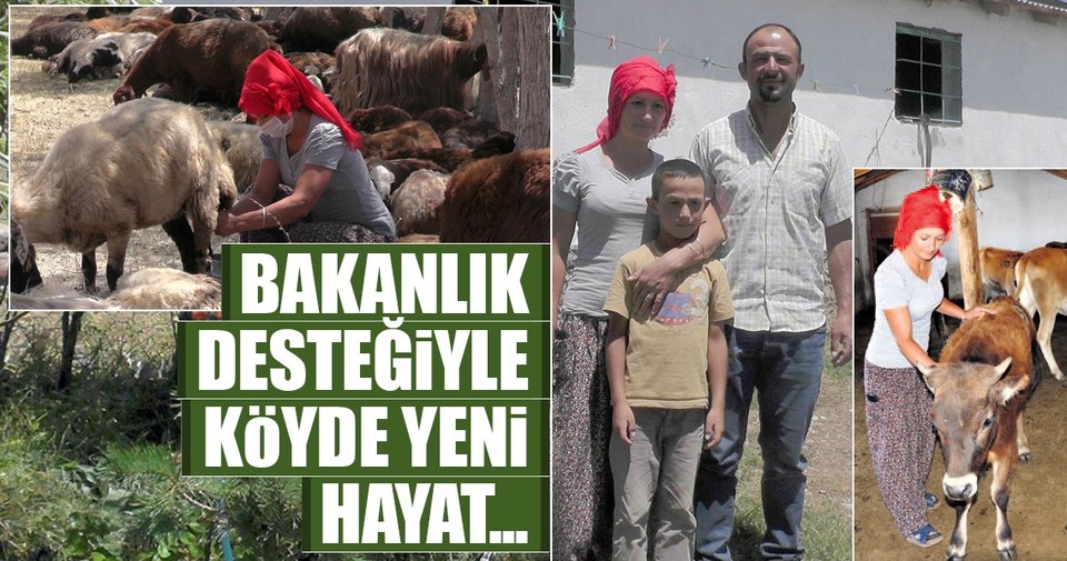 Bakanlık desteğiyle köyde yeni hayat…