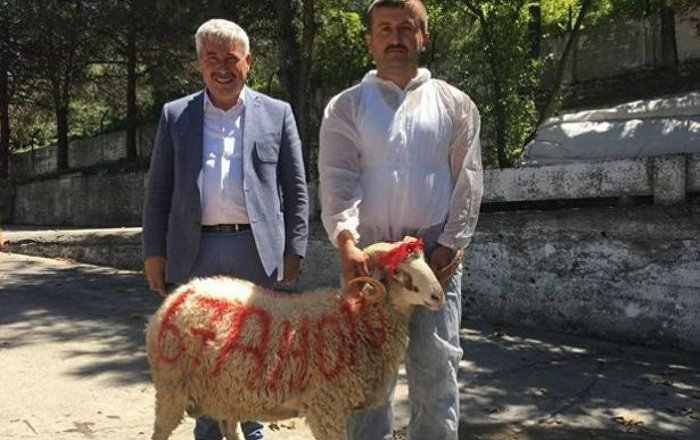Belediye Başkanı, yeni makam aracı için kurban kestirdi