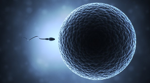 ‘Biyolojik saat sadece kadınlar için değil erkekler için de
