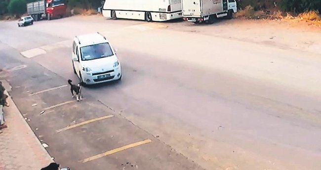Böyle vicdansızlık görülmedi