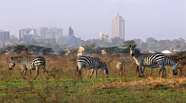 Dışişleri Bakanlığı’ndan Kenya’ya seyahat uyarısı