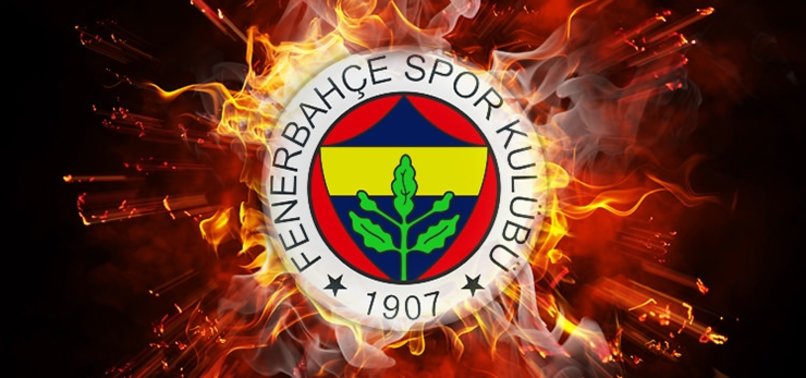 Fenerbahçe'de Robin van Persie ve Alper Potuk şoku