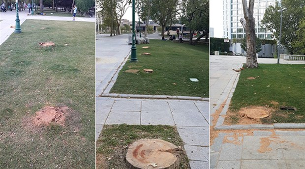 Gezi Parkı’ndaki ağaçların kesilmesine Tuncay Özkan’dan tepki