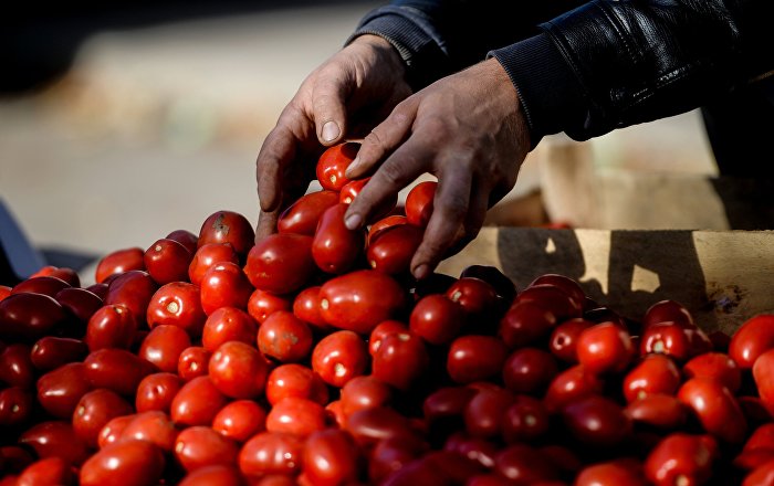 İhracatçılar, Rusya’ya kısıtlama getirilmesine karşı çıkıyor