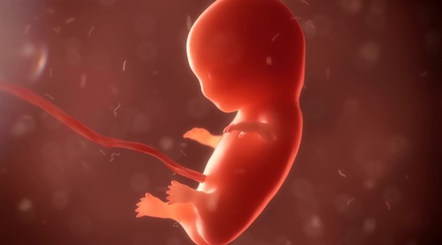 İnsan embriyosundaki hastalıklı gene müdahale