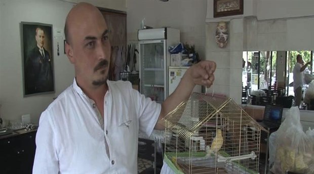 Kafesteki kuşunu bile çaldılar