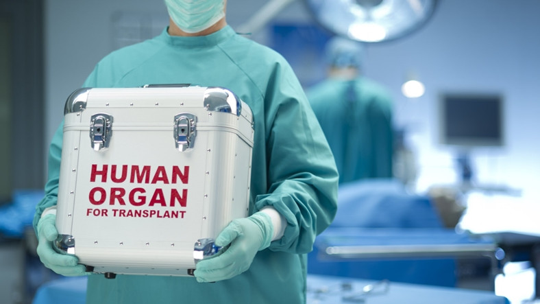 Nanopartiküller, Organ Nakillerinde Organ Reddini Önlüyor!