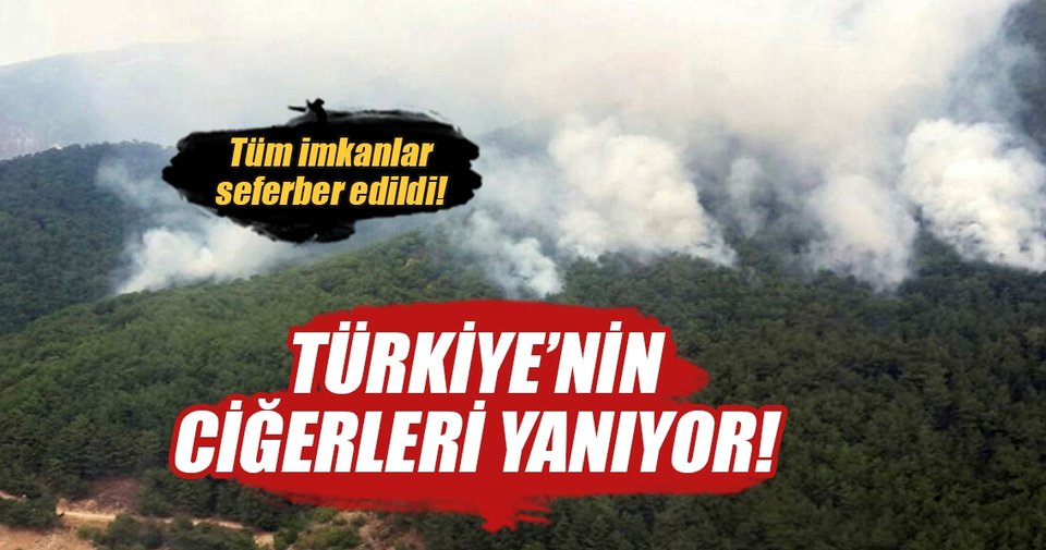 Son dakika! Kazdağları’nda yangın