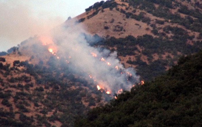 Tunceli’de 6 bölgede orman yangını