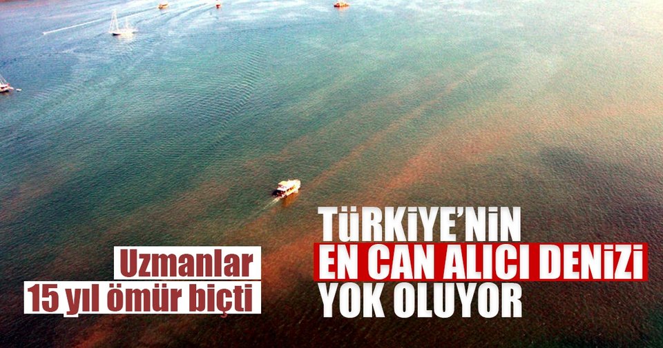 Türkiye’nin en can alıcı denizi yok oluyor