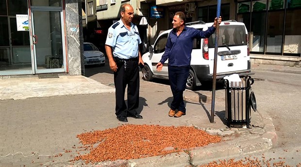 AKP İlçe Başkanı: Partimin önüne fındık dökmüşler gelin