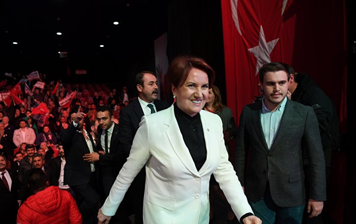 Akşener’in ‘kınalı eli’ partinin logosu oluyor