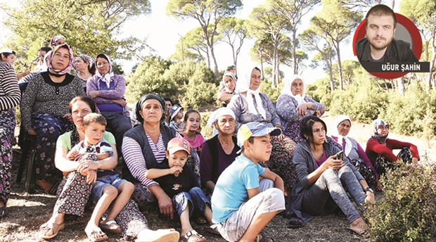 ‘Fıstık’ gibi direniş!