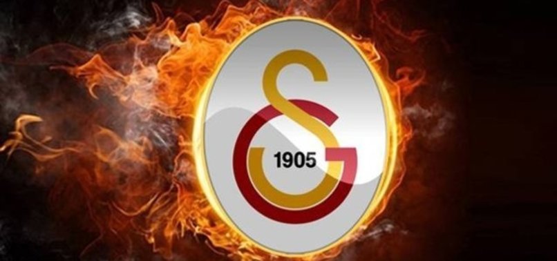 Fransız kaleci Cedric Carrasso Galatasaray'da