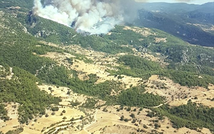 Muğla’daki orman yangını, rüzgarın etkisiyle yayılıyor
