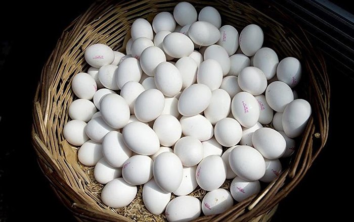 Pazarda 15 yumurta satan çiftçiye 15 bin lira ceza