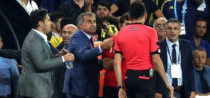 Şenol Güneş'ten "küfür" açıklaması!