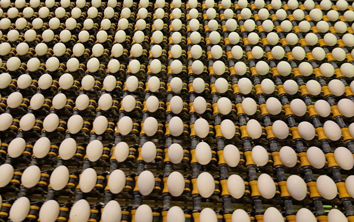 Türk yumurta üreticilerinden Bakanlığa: Açıklama bekliyoruz