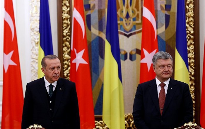 ‘Erdoğan’ın Kiev ziyaretinin amacı, ilişkileri nezaketle dondurmak’