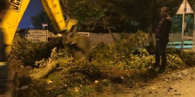 Ağaç kesimine karşı nöbet tutan KOS aktivistleri bıçaklı saldırıya uğradı
