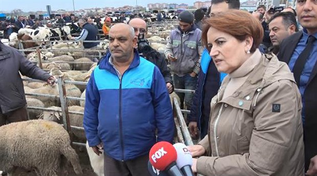 Akşener: Yandaşı, candaşı, kandaşı kayırmayacaksın