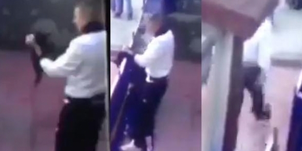 Erzincan'da yavru kediye işkence yapan askeri personeli serbest bırakan hâkim AYM'ye itiraz edecek