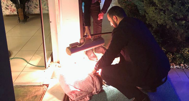 Üşüyen köpeği battaniyeye sarıp, ısıtıcı ile ısıttılar