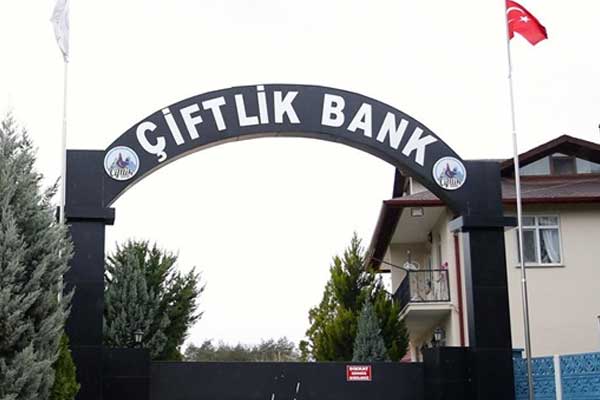 Çiftlik Bank’ın tavukları satıldı