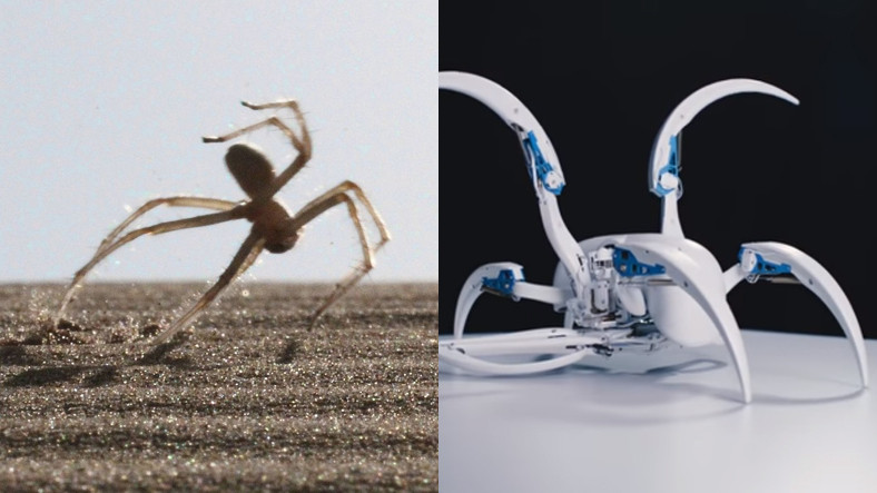 Festo – Yeni Biyonik Robotlar