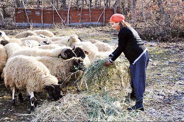 Genç çiftçilere 30 bin lira hibe